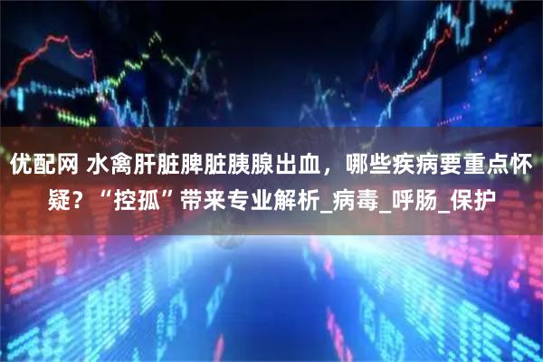 优配网 水禽肝脏脾脏胰腺出血，哪些疾病要重点怀疑？“控孤”带来专业解析_病毒_呼肠_保护