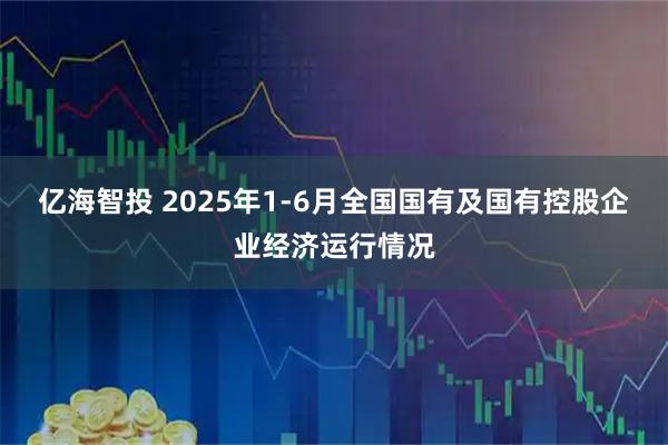 亿海智投 2025年1-6月全国国有及国有控股企业经济运行情况