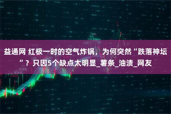 益通网 红极一时的空气炸锅，为何突然“跌落神坛”？只因5个缺点太明显_薯条_油渍_网友