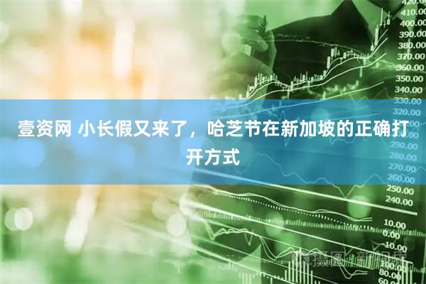 壹资网 小长假又来了，哈芝节在新加坡的正确打开方式