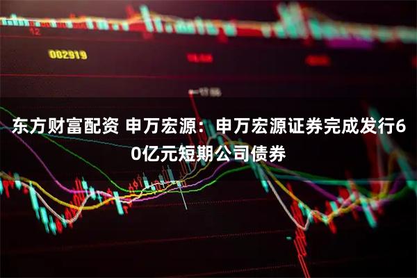 东方财富配资 申万宏源：申万宏源证券完成发行60亿元短期公司债券
