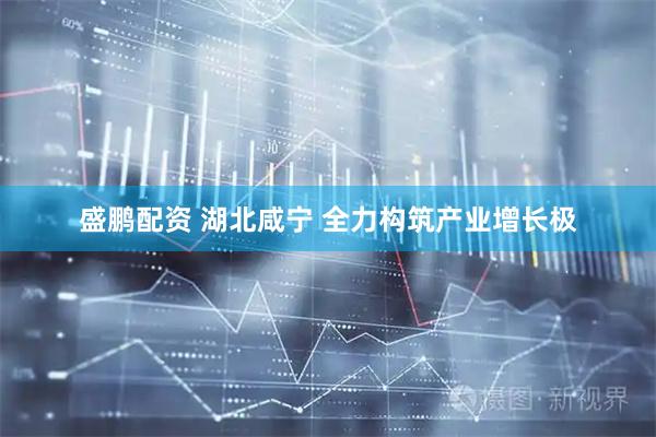 盛鹏配资 湖北咸宁 全力构筑产业增长极