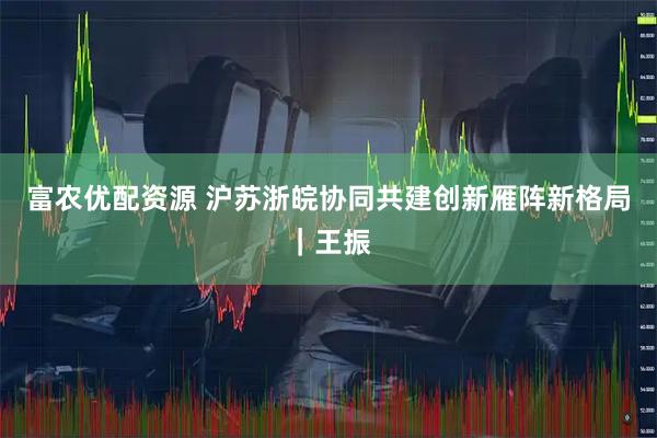 富农优配资源 沪苏浙皖协同共建创新雁阵新格局｜王振