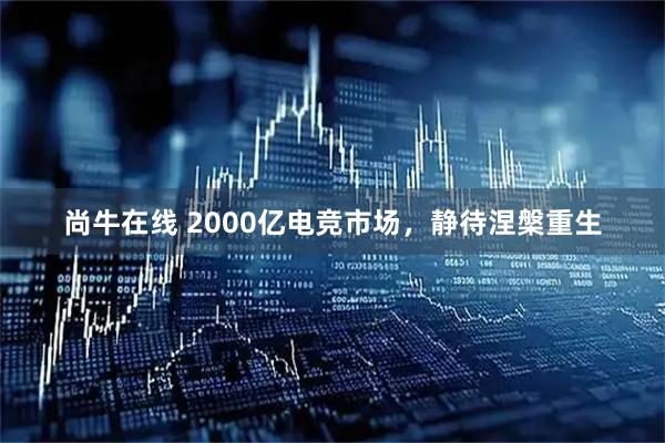尚牛在线 2000亿电竞市场，静待涅槃重生